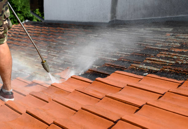 Best Power Washing Near Me  in Siena College, NY